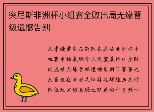 突尼斯非洲杯小组赛全败出局无缘晋级遗憾告别